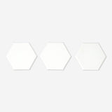 CANVAS HEXAGONS SET OF 3