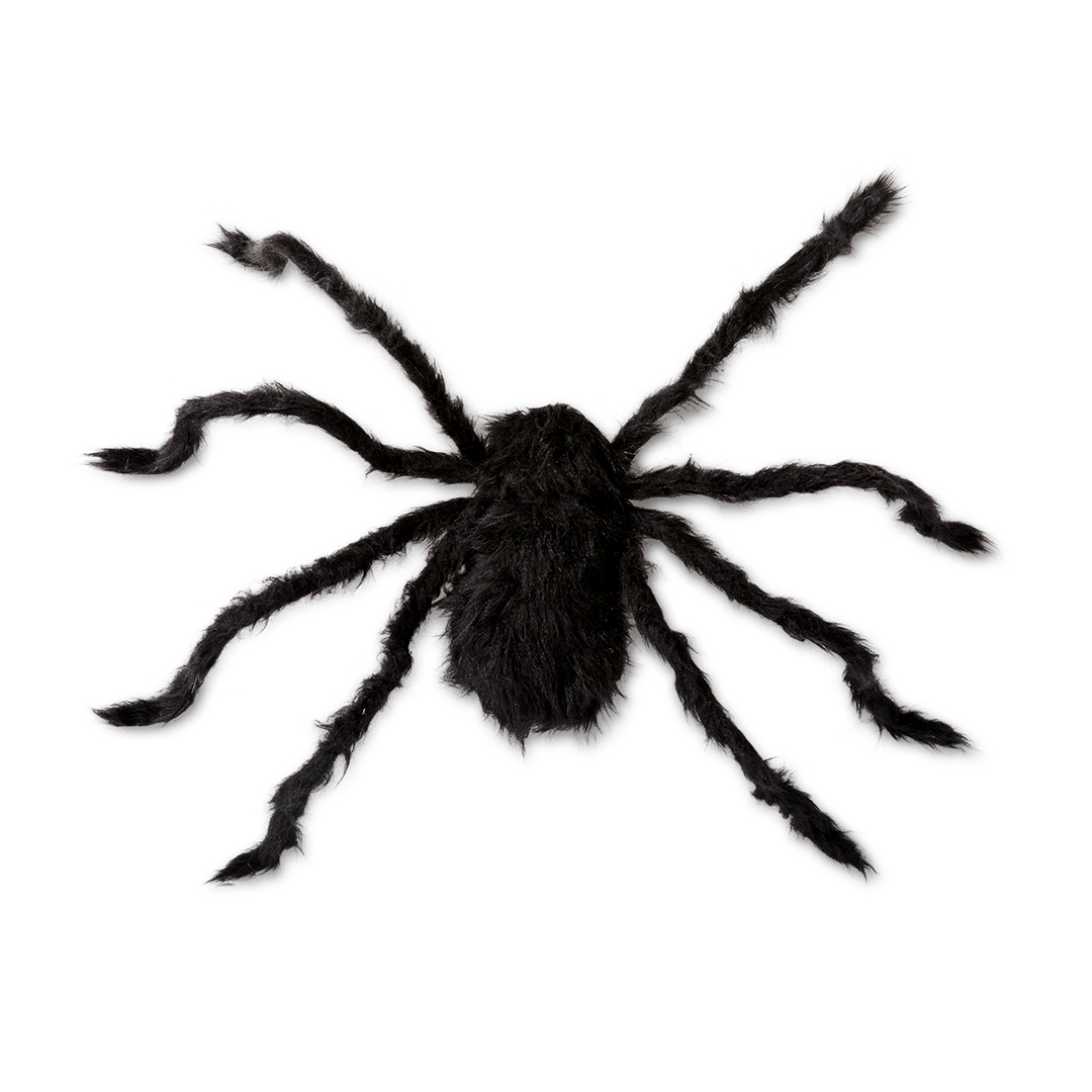 SPIDER BLACK 80 CM