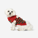 DOG CHRISTMAS JUMPER XMAS