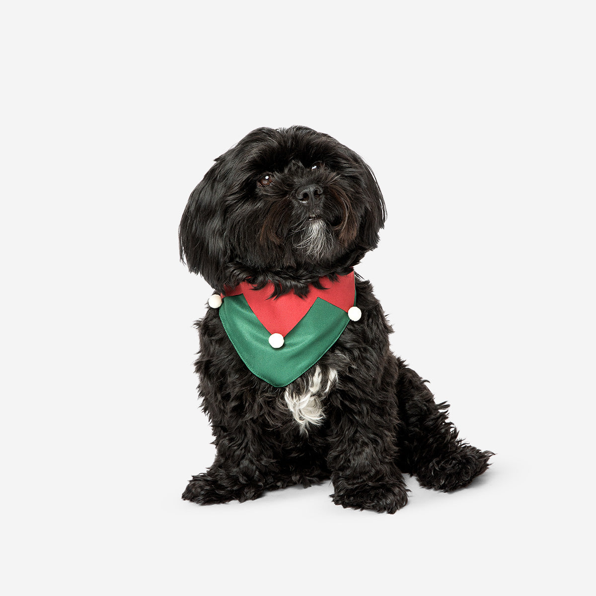 DOG CHRISTMAS BANDANA