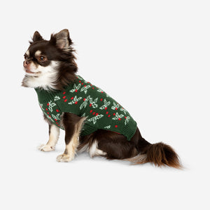 DOG CHRISTMAS JUMPER GREEN