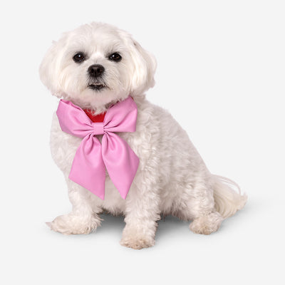 DOG COLLAR AND BOW RED PINK