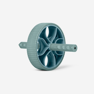 AB WHEEL WITH HANDLES GRAY/GREEN