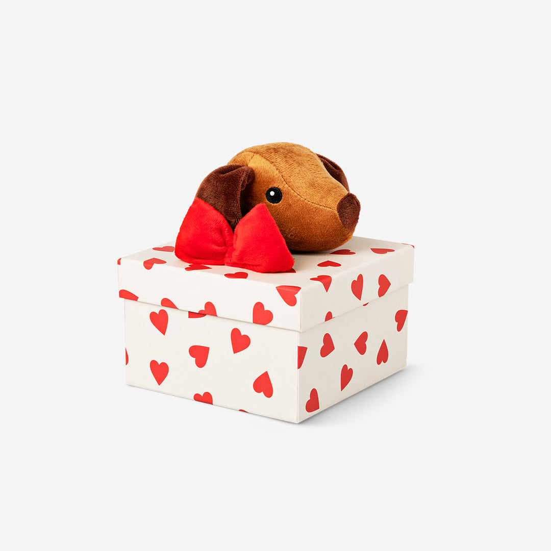 GIFT BOX SAUSAGE DOG