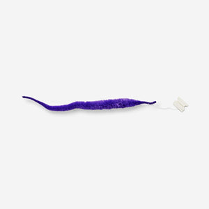 WORM W LINE PURPLE