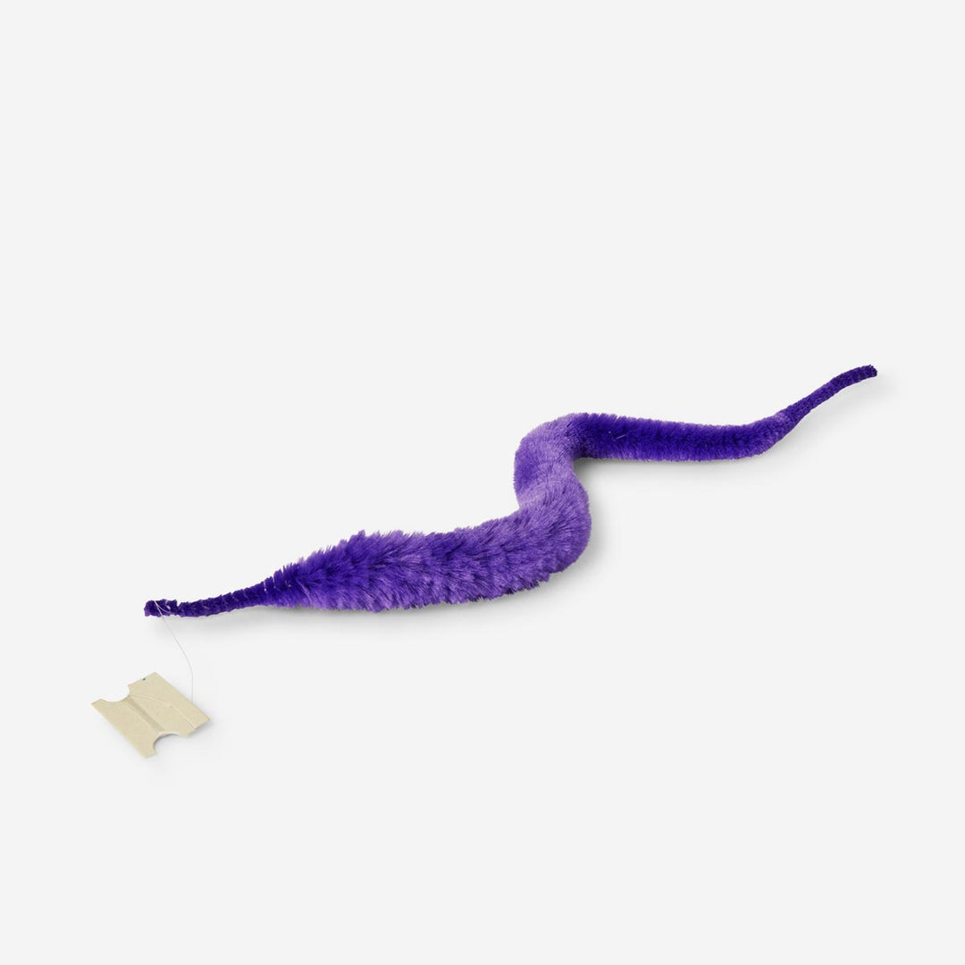 WORM W LINE PURPLE