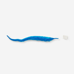 WORM W LINE BLUE