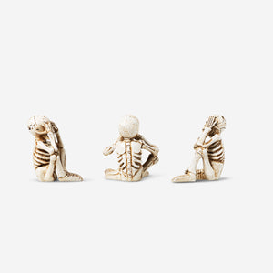 SKELETON MONKEY SET