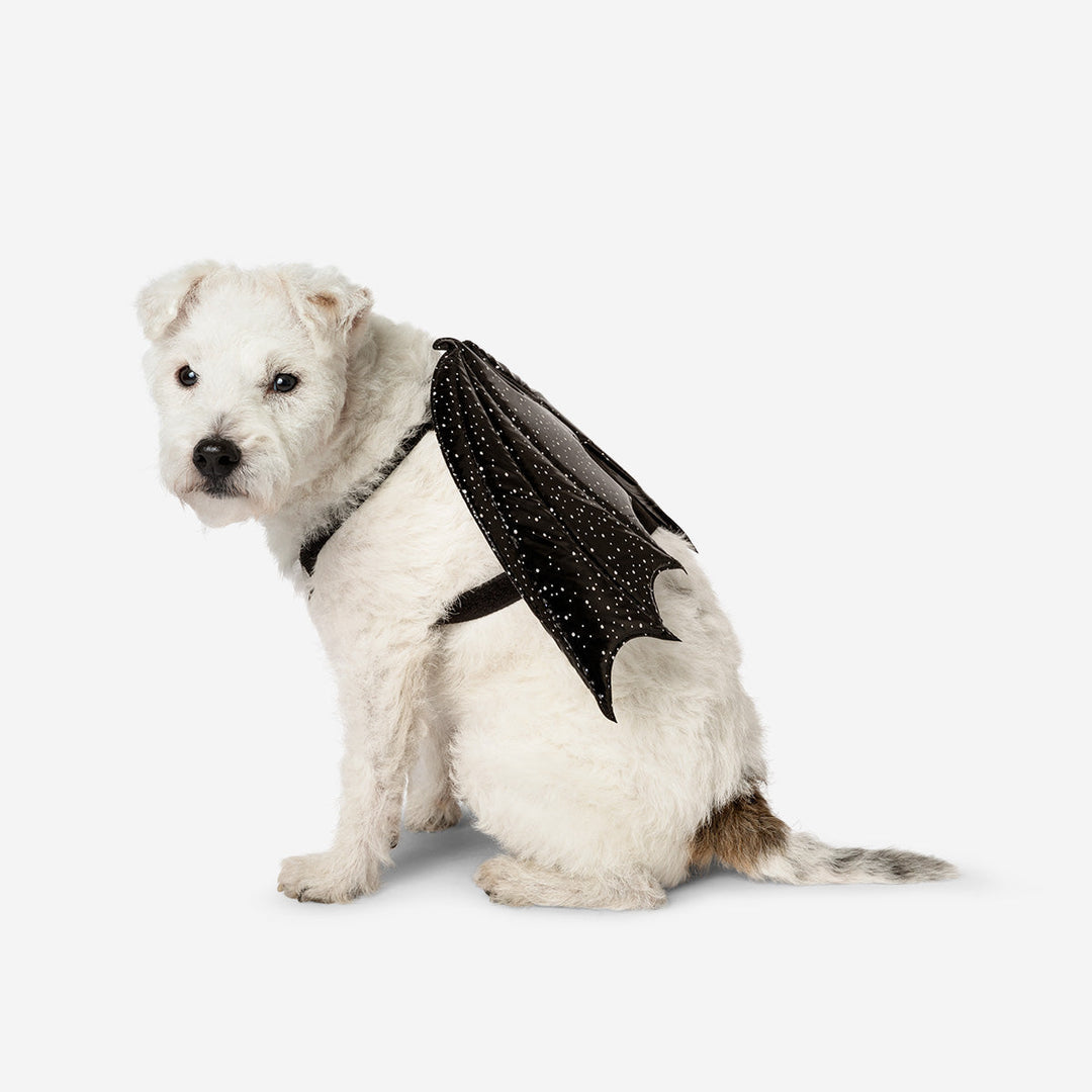 PET DRESS UP BAT WINGS