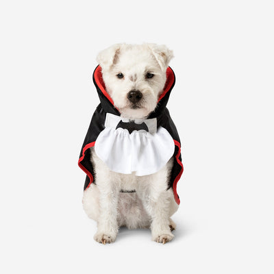 PET DRESS UP DRACULA