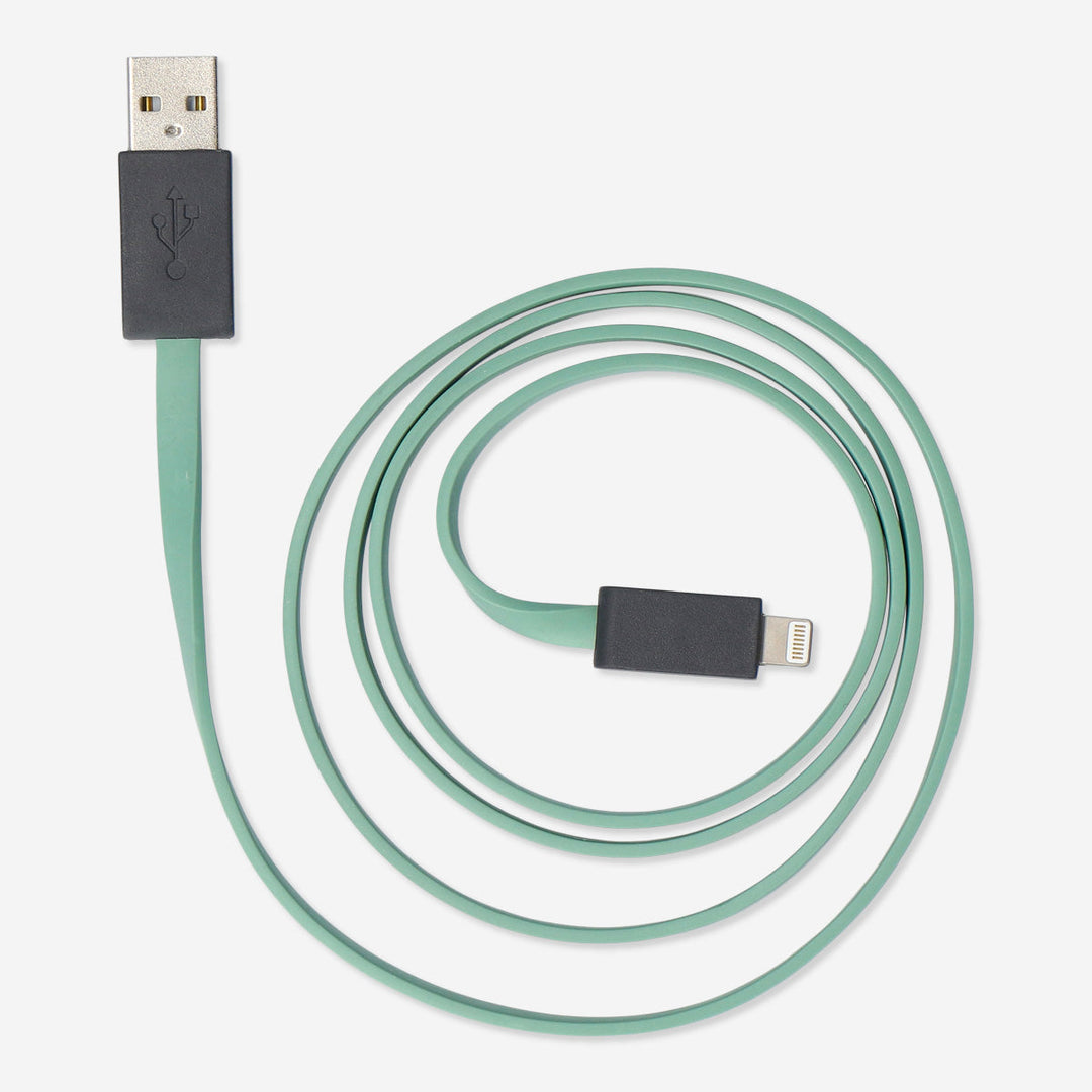 CHARGING CABLE 100 CM LIGHTNING GREY/GREEN