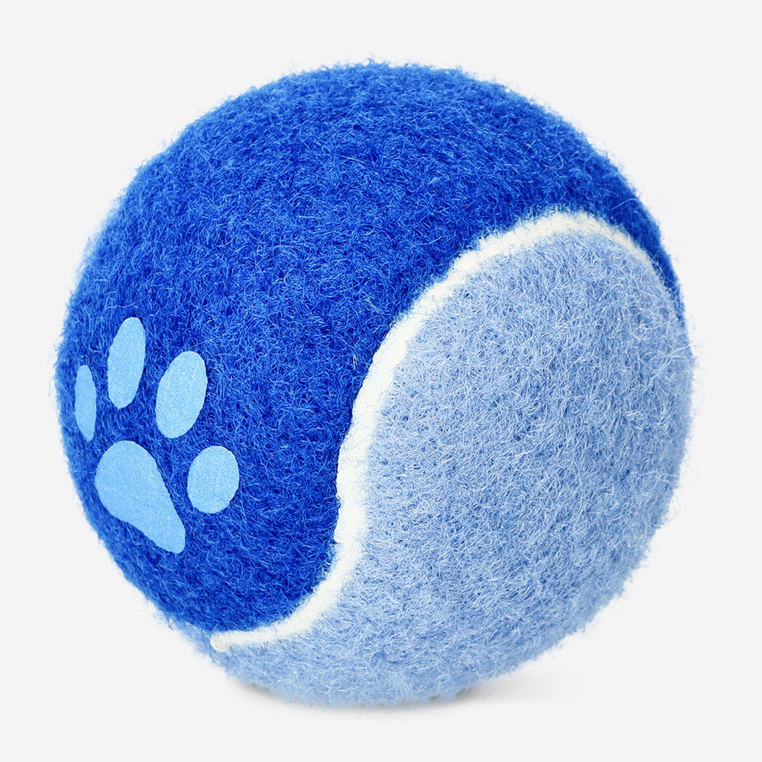 DOG TOY BALL WITH TEXT 2