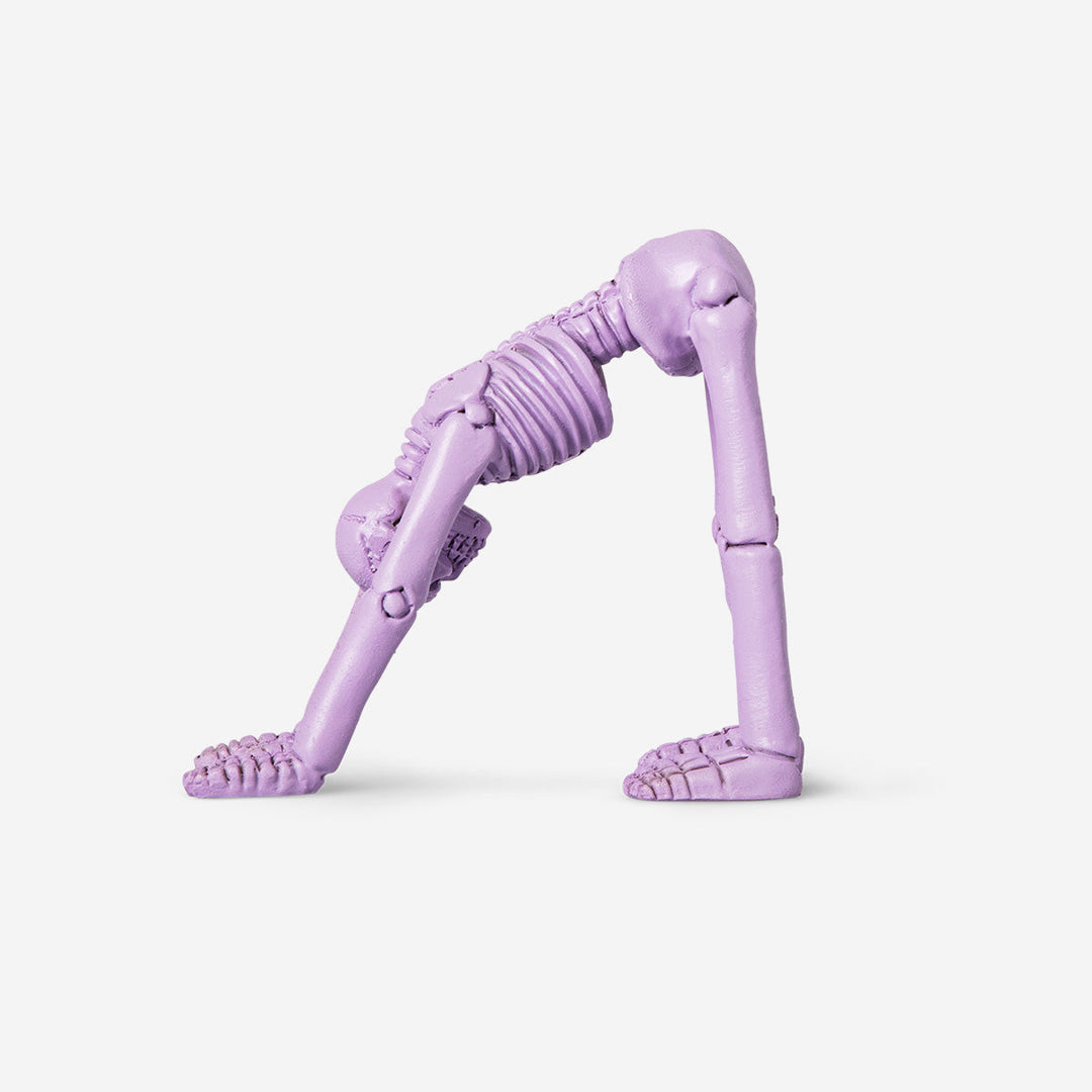 SKELETON YOGA POSE DOWNWARD DOG